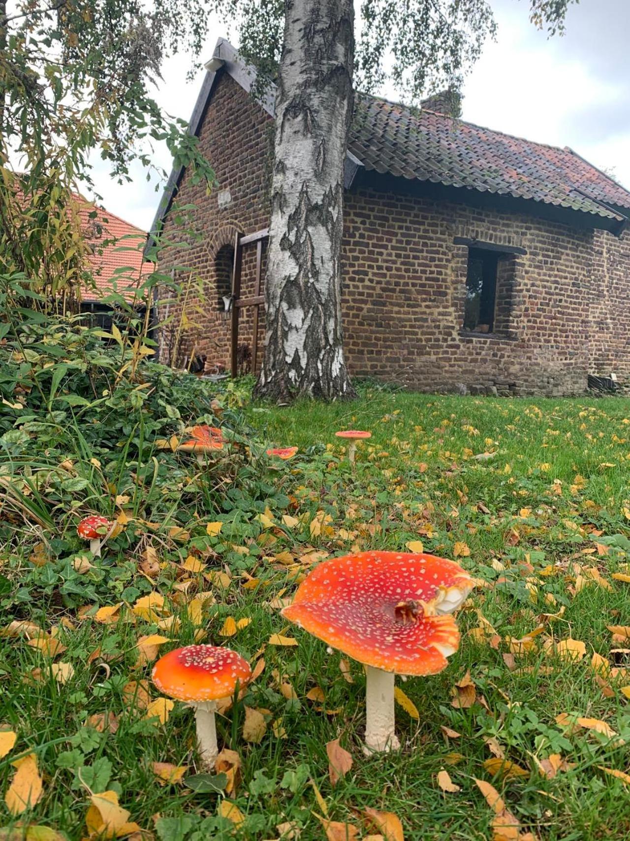 B&B En Vakantiewoningen 'T Wienhoes Wittem Exteriér fotografie